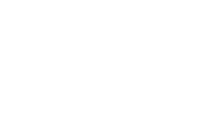 Synota